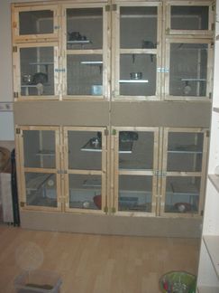 http://www.chinchillaland.de/bilder%20neu/DSCN0665.JPG